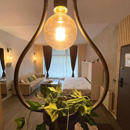 Mat Rent Poiana Brasov Apartment ภายนอก รูปภาพ
